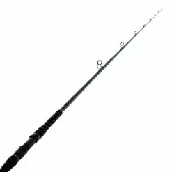 PENN Prevail II 1002OHXH Overhead Rock Rod 10ft 10-24kg 2pc