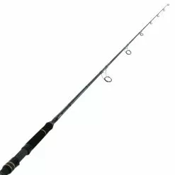 PENN Ocean Assassin 742MH Spinning Soft Bait Rod 7ft 4in PE2-4 2pc